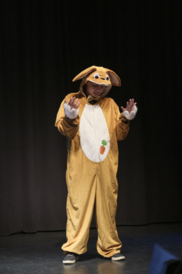 Your Vision Song Contest