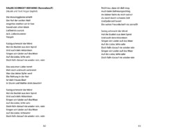 Your Vision Song Contest